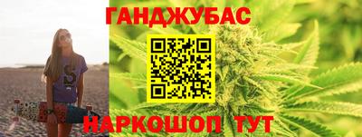 гидра Краснознаменск