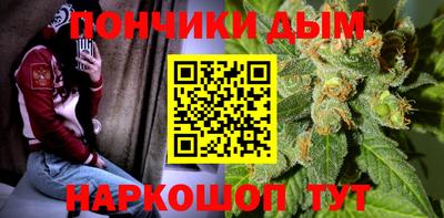 гидра Краснознаменск
