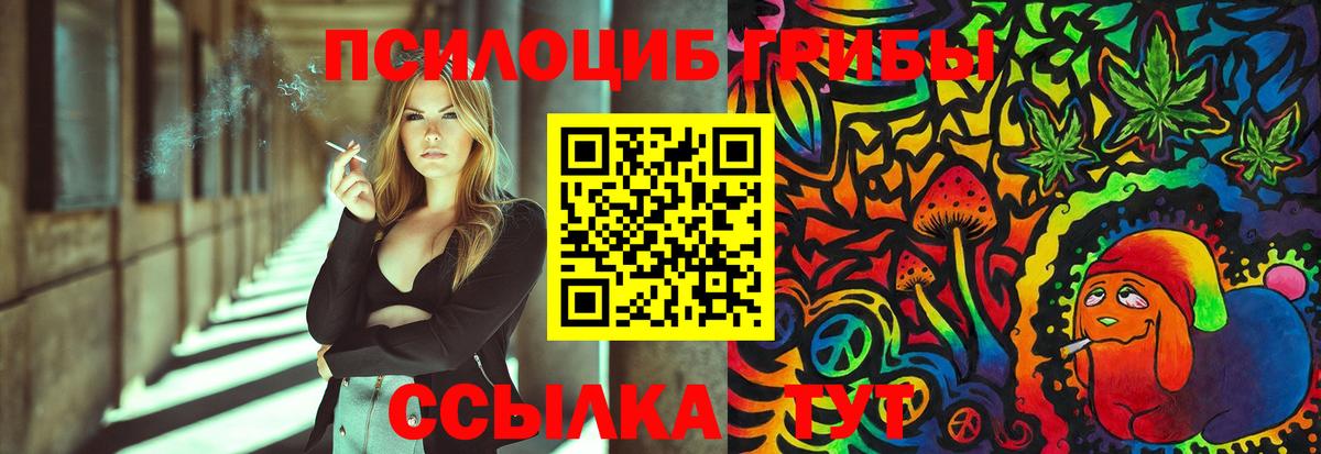 Владимир  Псилоцибиновые грибы Psilocybe  хочу   Галлюциногенные грибы MAGIC MUSHROOMS  Вход с VPN 