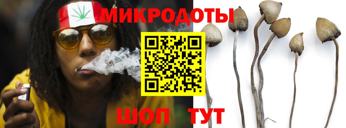 Галлюциногенные грибы ЛСД Владимир