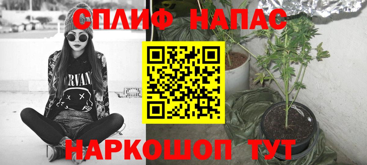 Конопля SATIVA & INDICA Владимир